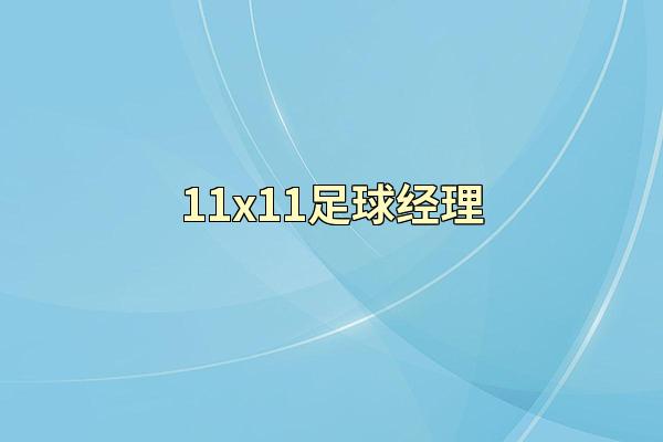 11x11足球经理
