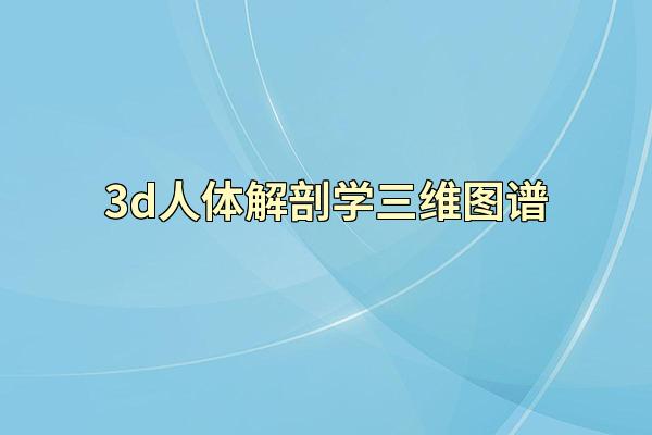 3d人体解剖学三维图谱