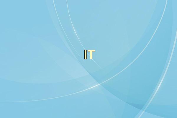 IT