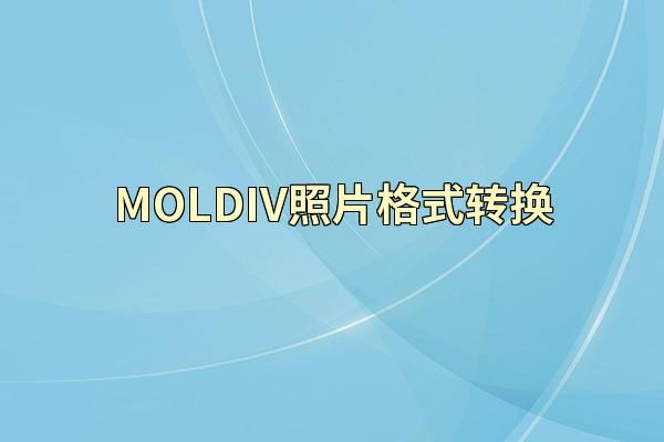 MOLDIV照片格式转换
