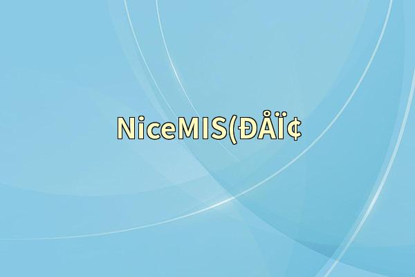 NiceMIS(ÐÅÏ¢