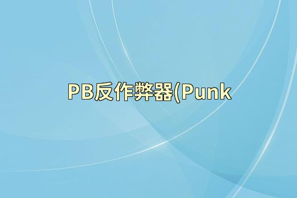 PB反作弊器(Punk