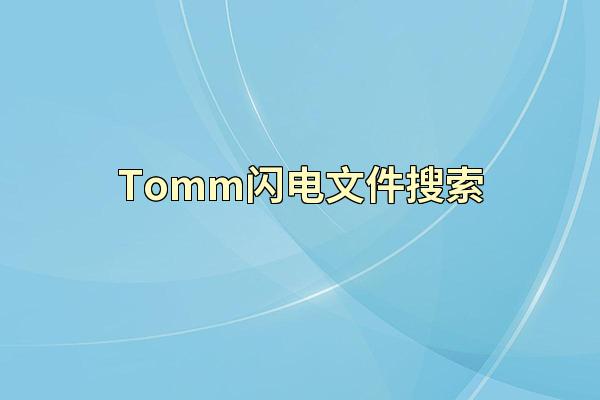 Tomm闪电文件搜索