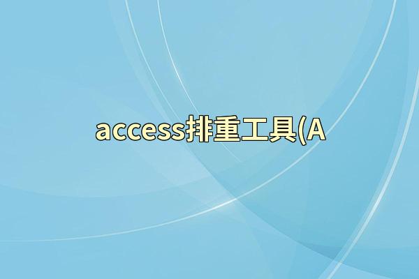 access排重工具(A