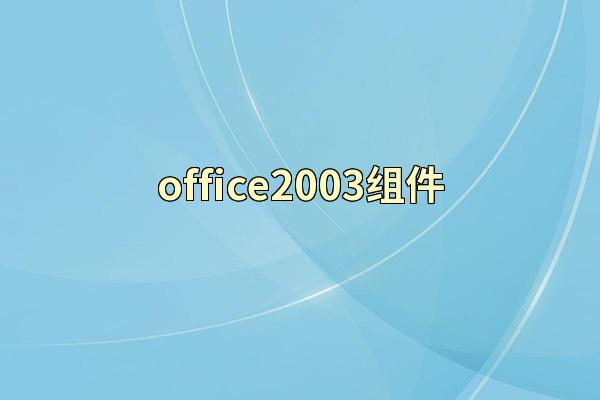 office2003组件
