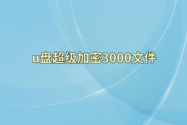 u盘超级加密3000文件