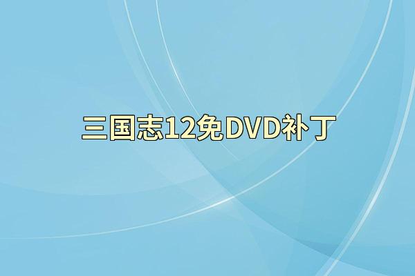 三国志12免DVD补丁