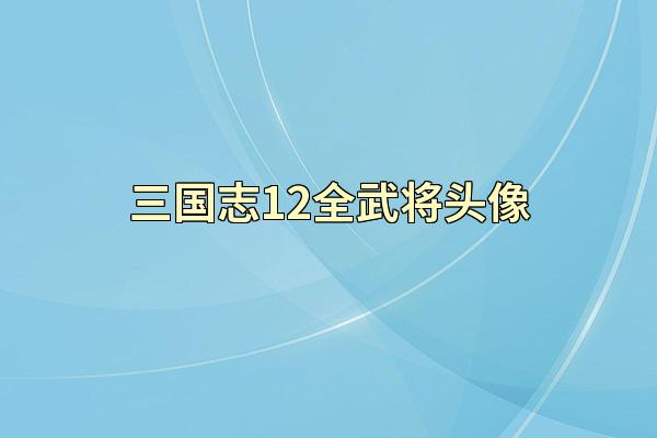 三国志12全武将头像
