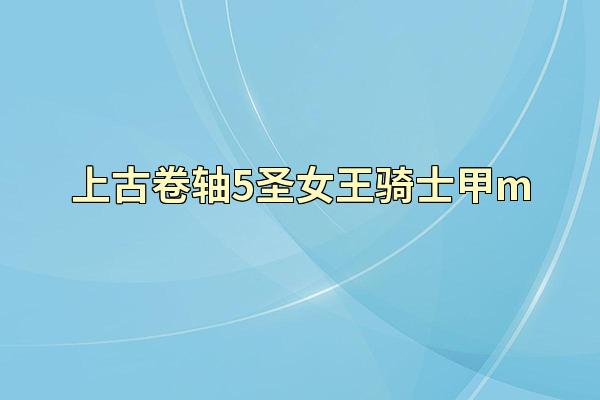 上古卷轴5圣女王骑士甲m