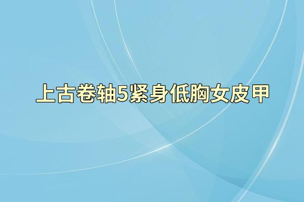 上古卷轴5紧身低胸女皮甲