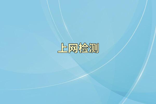 上网检测