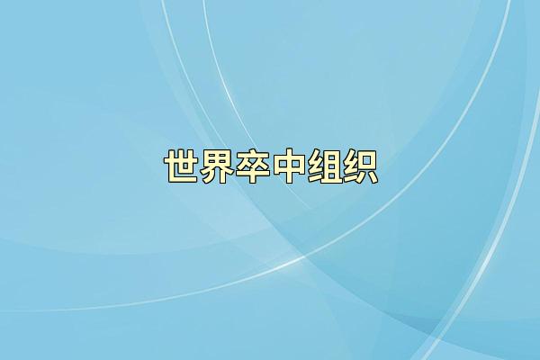 世界卒中组织