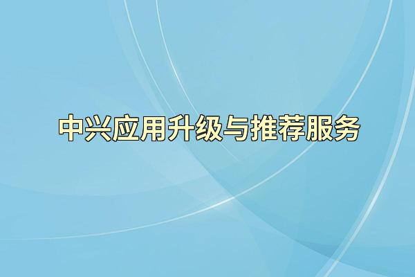 中兴应用升级与推荐服务