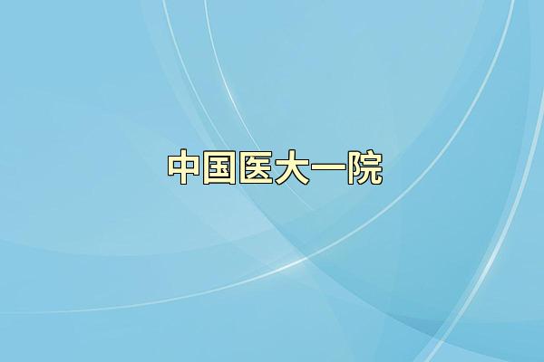 中国医大一院