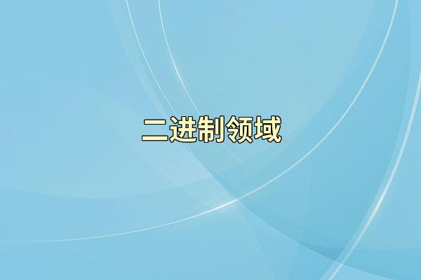 二进制领域