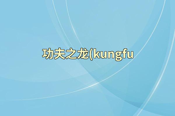 功夫之龙(kungfu