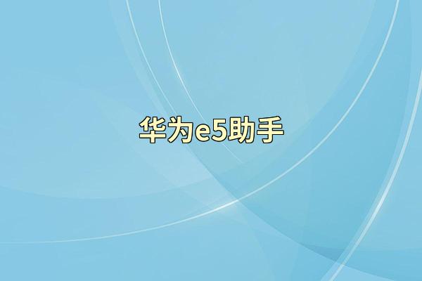 华为e5助手