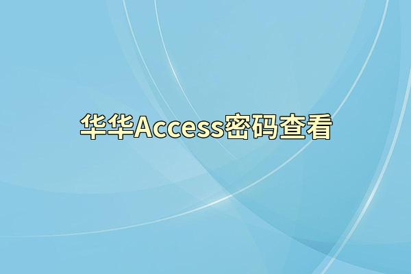 华华Access密码查看