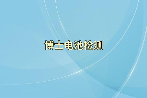 博士电池检测