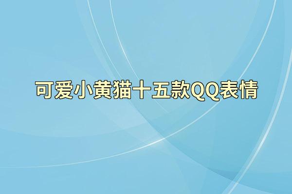 可爱小黄猫十五款QQ表情