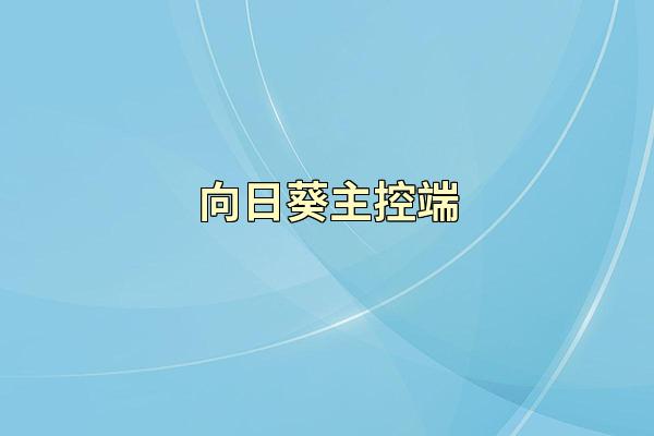 向日葵主控端