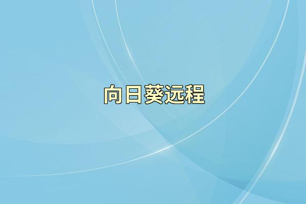 向日葵远程