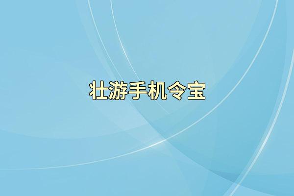壮游手机令宝