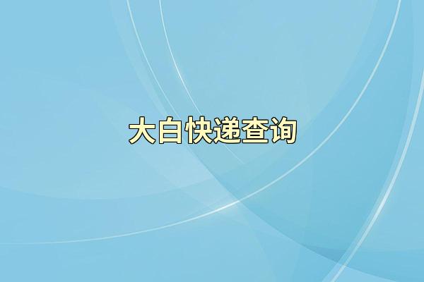 大白快递查询