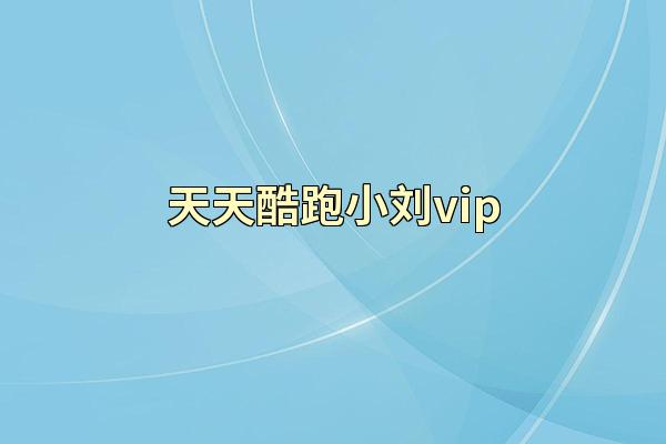 天天酷跑小刘vip