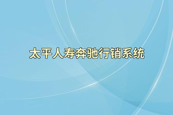 太平人寿奔驰行销系统
