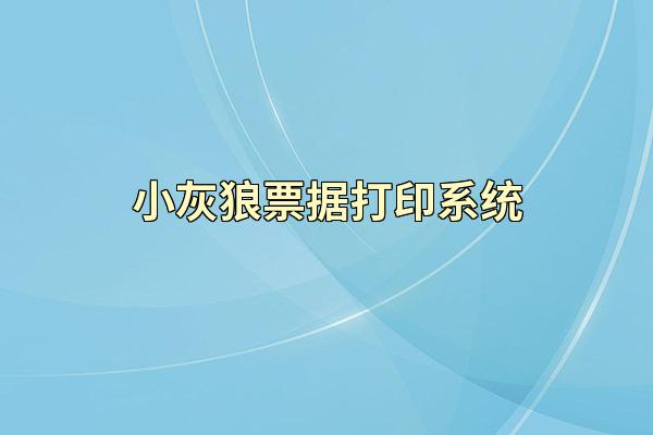 小灰狼票据打印系统