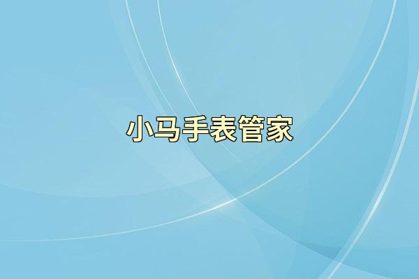 小马手表管家