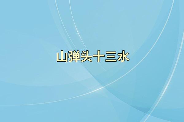 山弹头十三水