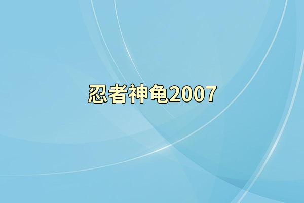 忍者神龟2007