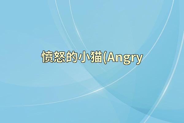愤怒的小猫(Angry