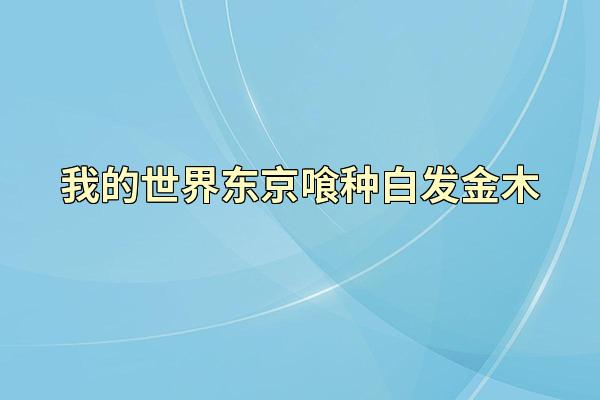 我的世界东京喰种白发金木