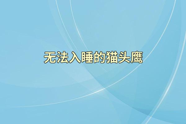 无法入睡的猫头鹰