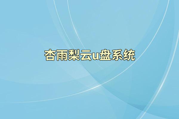 杏雨梨云u盘系统