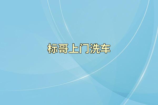 标哥上门洗车