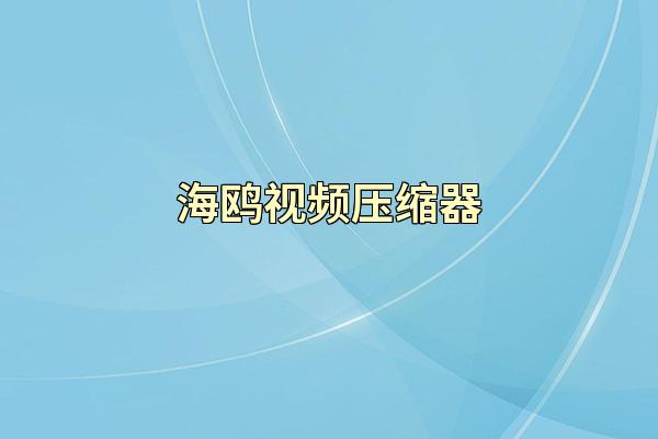 海鸥视频压缩器
