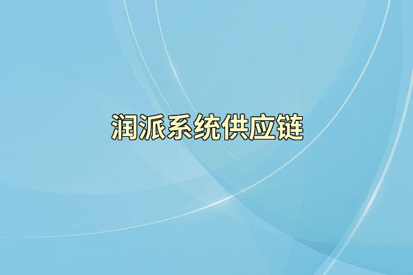 润派系统供应链