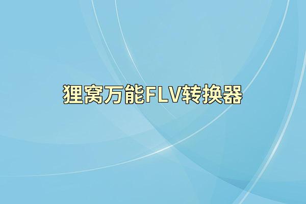 狸窝万能FLV转换器