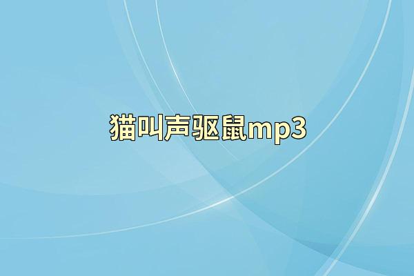 猫叫声驱鼠mp3