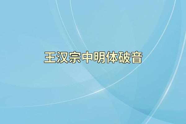 王汉宗中明体破音