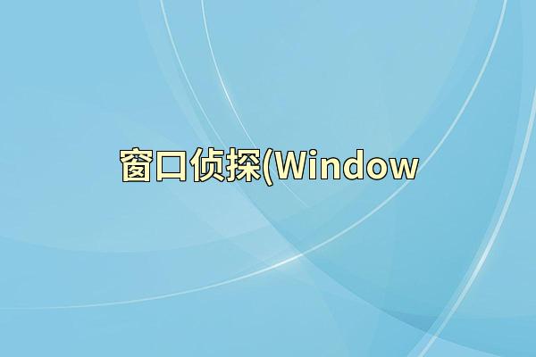 窗口侦探(Window