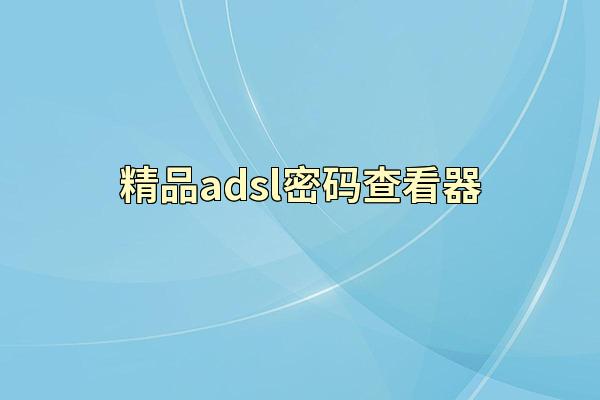精品adsl密码查看器