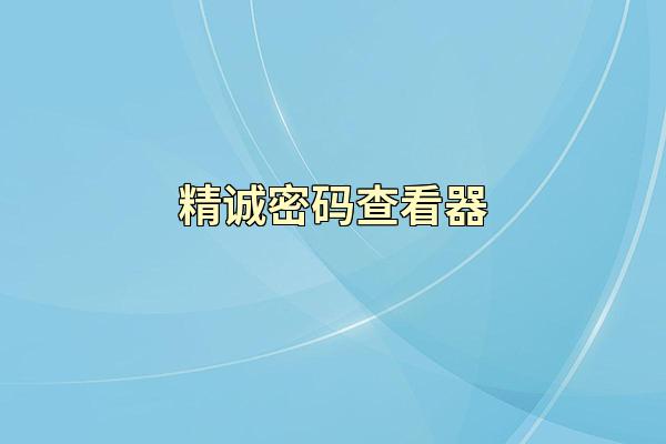 精诚密码查看器