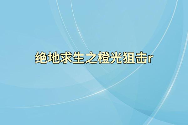 绝地求生之橙光狙击r