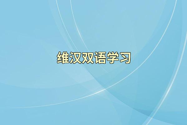 维汉双语学习