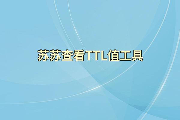 苏苏查看TTL值工具